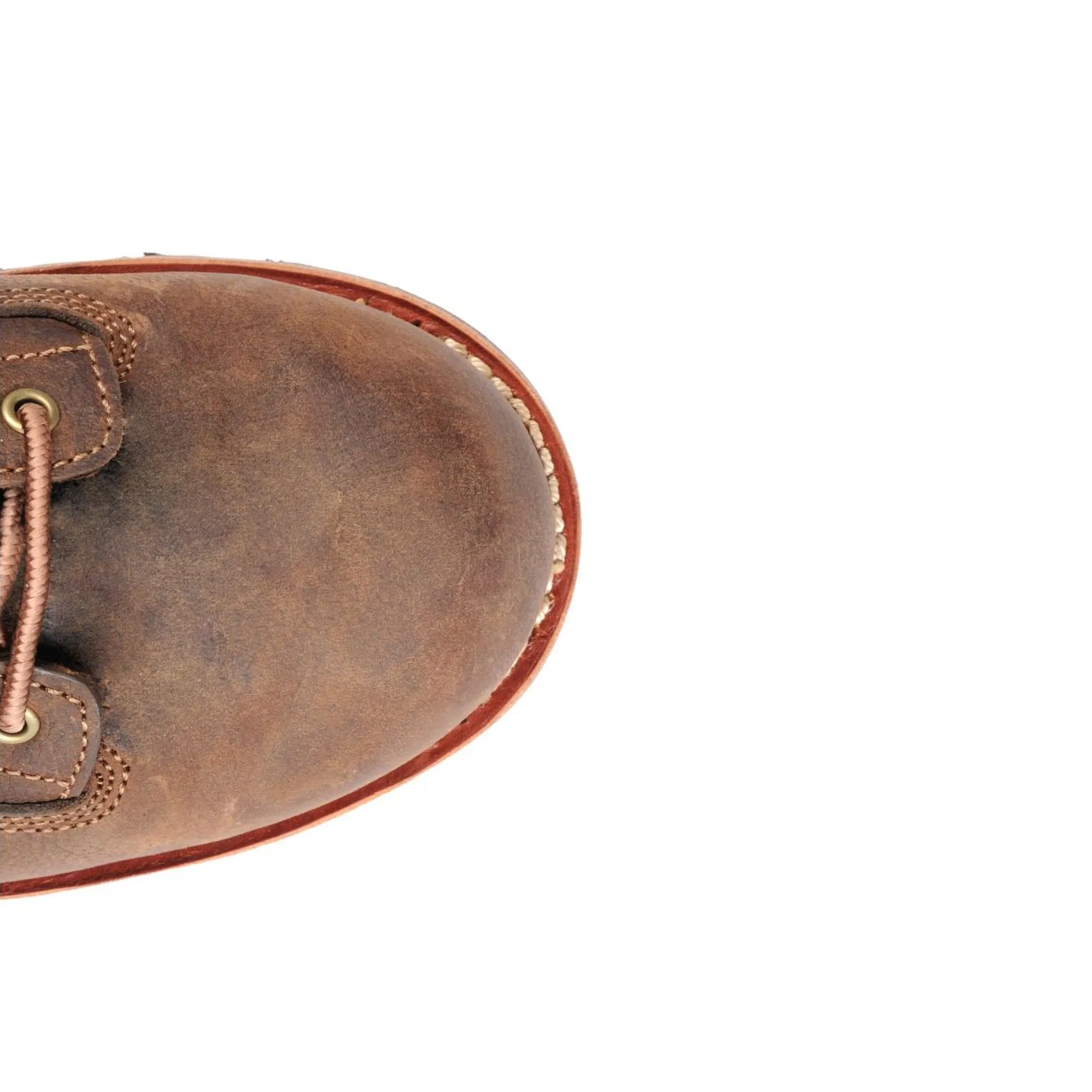 Carolina Birch 8" Waterproof Insulated Composite Toe Logger - Image 4