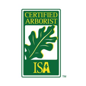 Sticker ISA Certified Arborist
